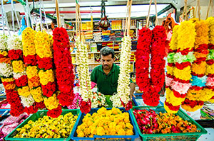 Little India Walk Image