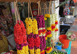 Little India Walk Image